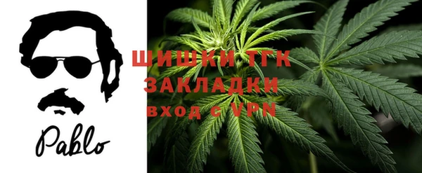 меф Инта