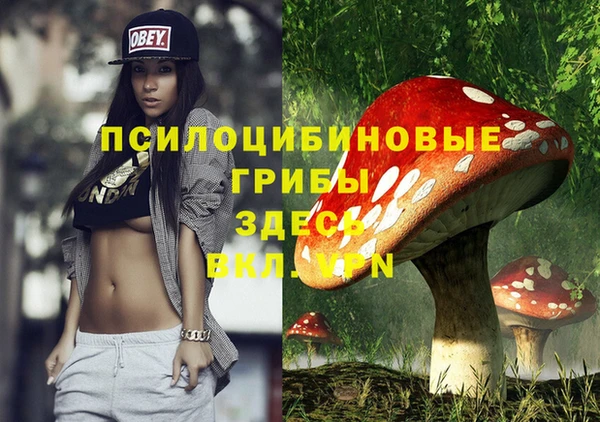 прущие грибы Зеленокумск